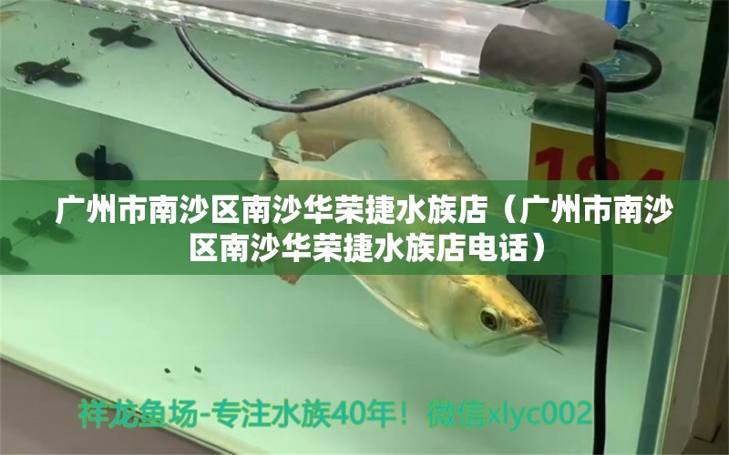 廣州市南沙區(qū)南沙華榮捷水族店（廣州市南沙區(qū)南沙華榮捷水族店電話）