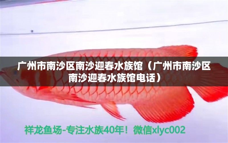 廣州市南沙區(qū)南沙迎春水族館（廣州市南沙區(qū)南沙迎春水族館電話）