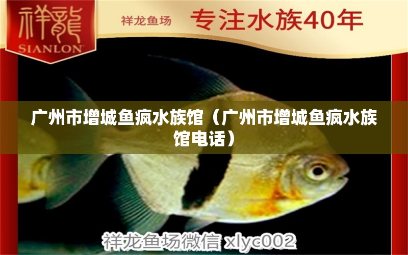 廣州市增城魚(yú)瘋水族館（廣州市增城魚(yú)瘋水族館電話） 全國(guó)水族館企業(yè)名錄