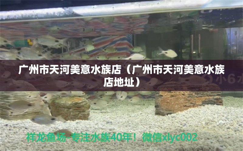 廣州市天河美意水族店（廣州市天河美意水族店地址）