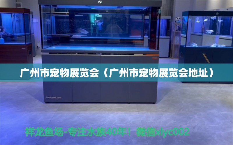 廣州市寵物展覽會(huì)（廣州市寵物展覽會(huì)地址）