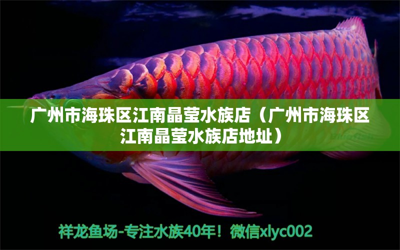 廣州市海珠區(qū)江南晶瑩水族店（廣州市海珠區(qū)江南晶瑩水族店地址）