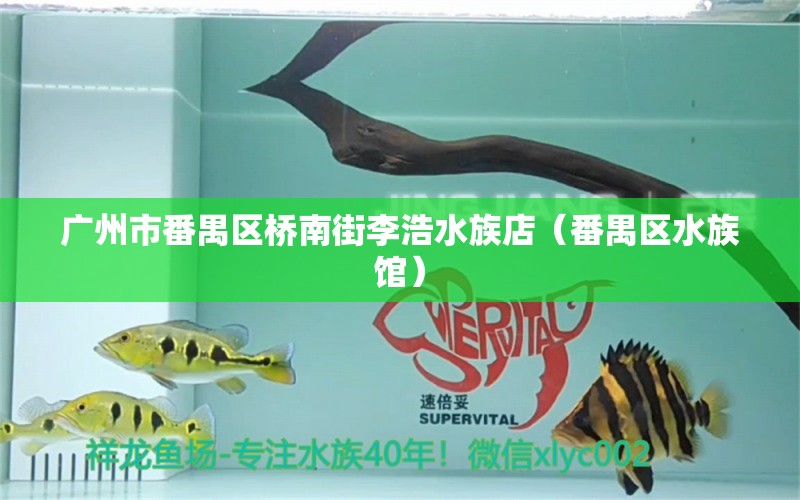 廣州市番禺區(qū)橋南街李浩水族店（番禺區(qū)水族館） 全國水族館企業(yè)名錄