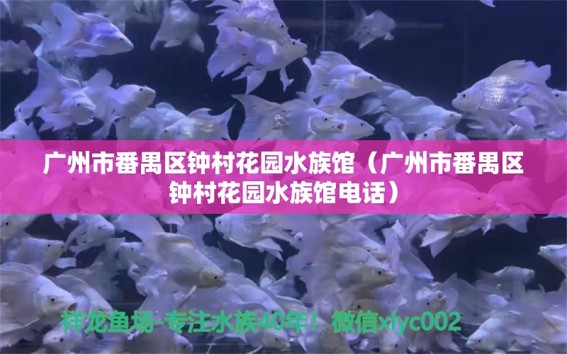 廣州市番禺區(qū)鐘村花園水族館（廣州市番禺區(qū)鐘村花園水族館電話）