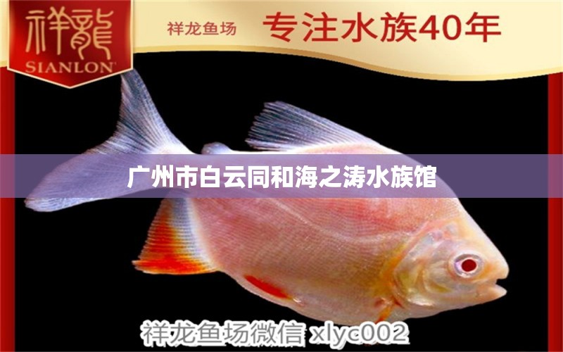 廣州市白云同和海之濤水族館 全國(guó)水族館企業(yè)名錄