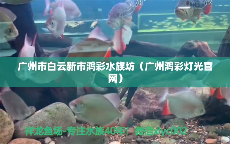 廣州市白云新市鴻彩水族坊（廣州鴻彩燈光官網(wǎng)） 全國水族館企業(yè)名錄