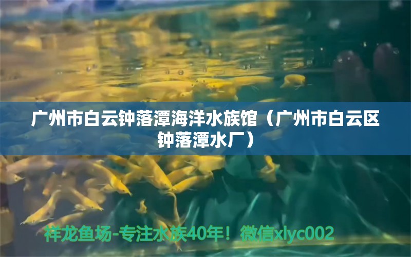 廣州市白云鐘落潭海洋水族館（廣州市白云區(qū)鐘落潭水廠）