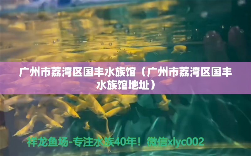 廣州市荔灣區(qū)國豐水族館（廣州市荔灣區(qū)國豐水族館地址）