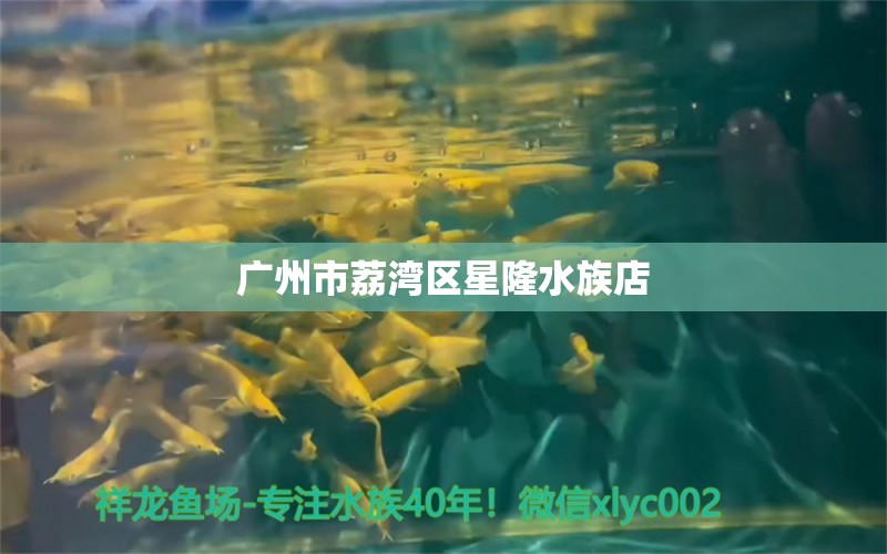 廣州市荔灣區(qū)星隆水族店