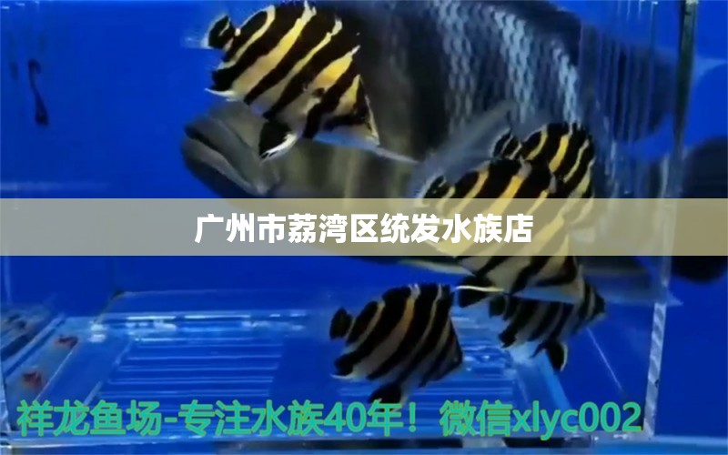 廣州市荔灣區(qū)統(tǒng)發(fā)水族店 全國水族館企業(yè)名錄