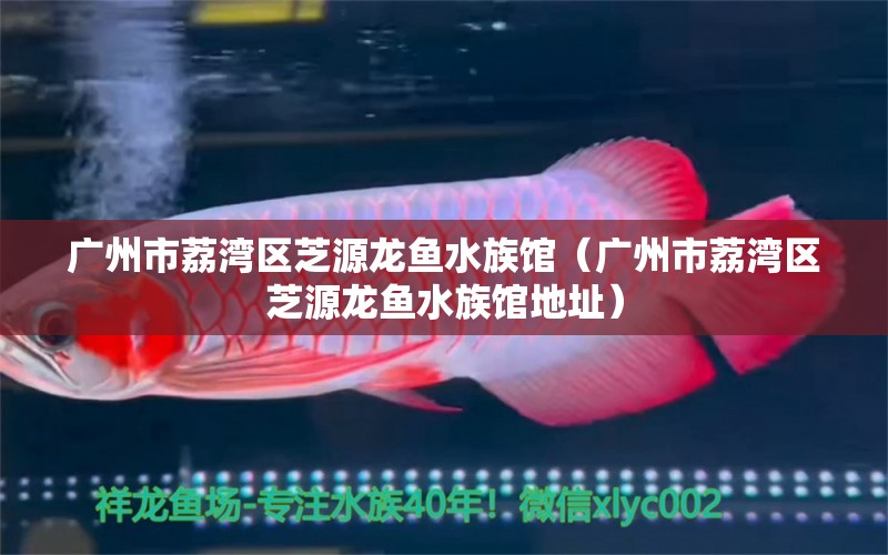 廣州市荔灣區(qū)芝源龍魚水族館（廣州市荔灣區(qū)芝源龍魚水族館地址） 全國水族館企業(yè)名錄