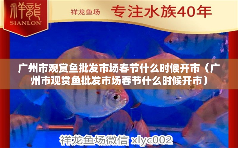 廣州市觀賞魚批發(fā)市場春節(jié)什么時候開市（廣州市觀賞魚批發(fā)市場春節(jié)什么時候開市）