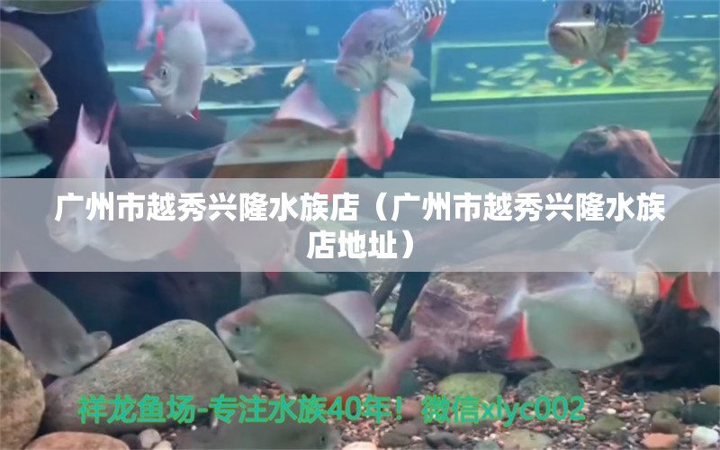 廣州市越秀興隆水族店（廣州市越秀興隆水族店地址）