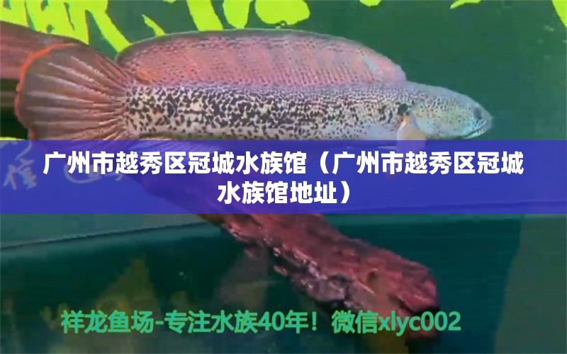 廣州市越秀區(qū)冠城水族館（廣州市越秀區(qū)冠城水族館地址） 全國(guó)水族館企業(yè)名錄