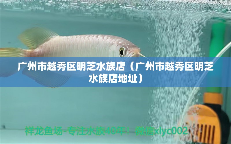 廣州市越秀區(qū)明芝水族店（廣州市越秀區(qū)明芝水族店地址）