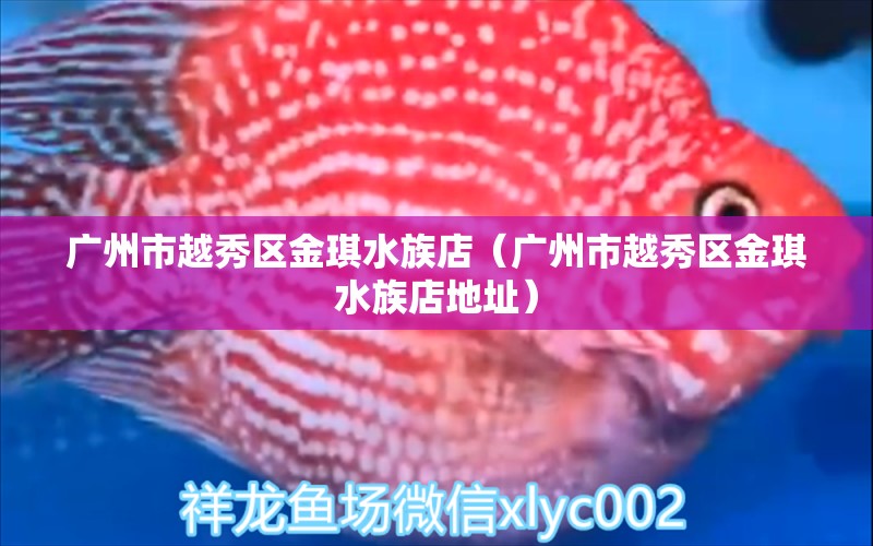 廣州市越秀區(qū)金琪水族店（廣州市越秀區(qū)金琪水族店地址）