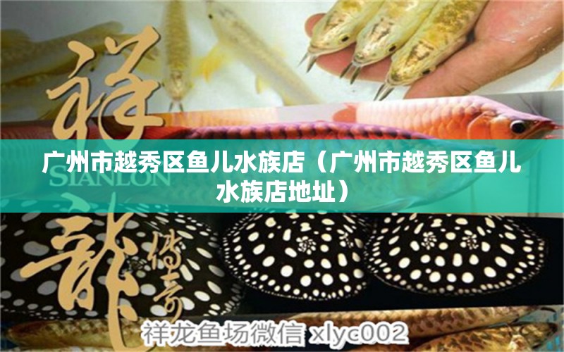 廣州市越秀區(qū)魚(yú)兒水族店（廣州市越秀區(qū)魚(yú)兒水族店地址）