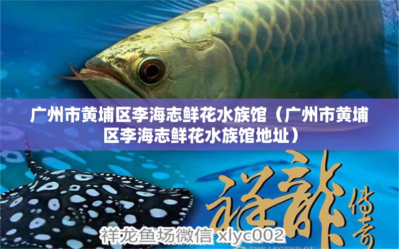 廣州市黃埔區(qū)李海志鮮花水族館（廣州市黃埔區(qū)李海志鮮花水族館地址）