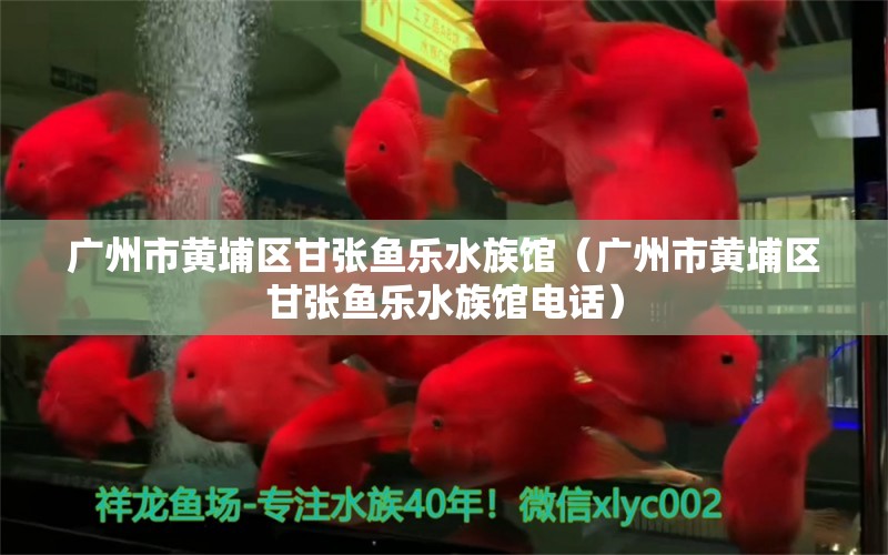 廣州市黃埔區(qū)甘張魚(yú)樂(lè)水族館（廣州市黃埔區(qū)甘張魚(yú)樂(lè)水族館電話） 全國(guó)水族館企業(yè)名錄