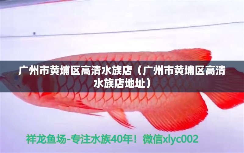 廣州市黃埔區(qū)高清水族店（廣州市黃埔區(qū)高清水族店地址）