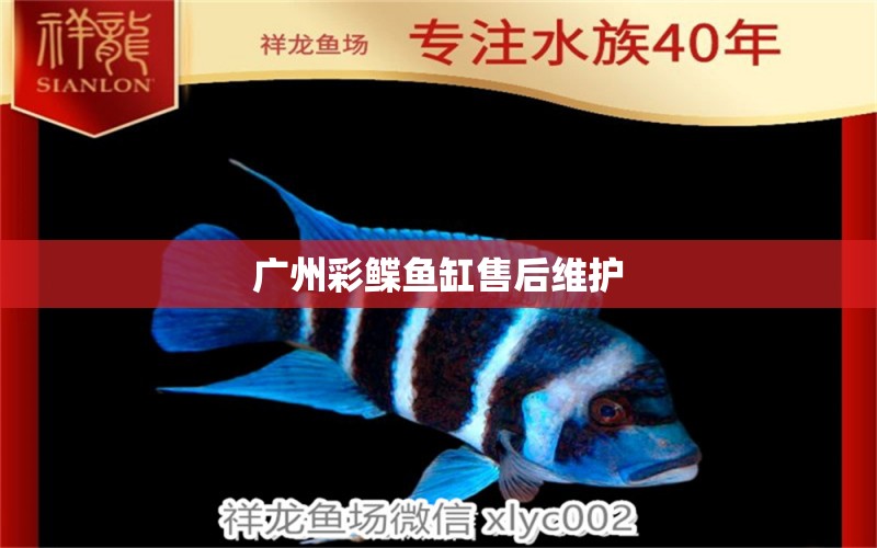 廣州彩鰈魚缸售后維護 彩鰈魚缸（彩蝶魚缸）