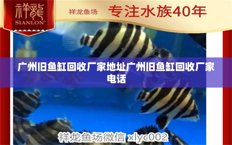 廣州舊魚缸回收廠家地址廣州舊魚缸回收廠家電話 泰龐海蓮魚