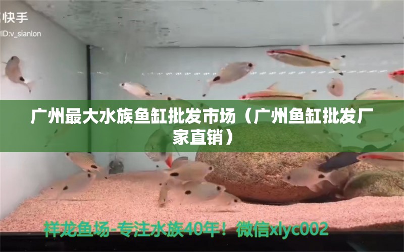 廣州最大水族魚缸批發(fā)市場（廣州魚缸批發(fā)廠家直銷）