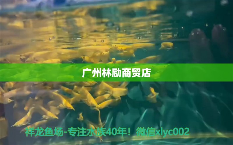 廣州林勵商貿(mào)店 全國水族館企業(yè)名錄