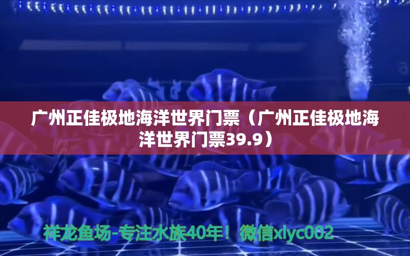 廣州正佳極地海洋世界門票（廣州正佳極地海洋世界門票39.9）