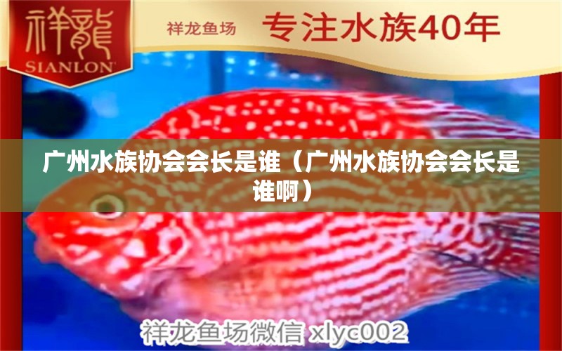 廣州水族協(xié)會會長是誰（廣州水族協(xié)會會長是誰?。?廣州水族批發(fā)市場