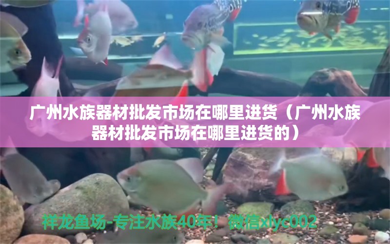 廣州水族器材批發(fā)市場(chǎng)在哪里進(jìn)貨（廣州水族器材批發(fā)市場(chǎng)在哪里進(jìn)貨的）