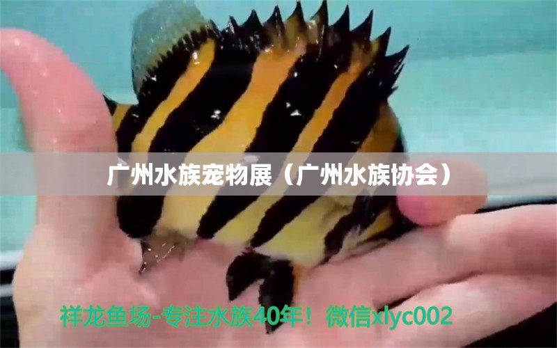 廣州水族寵物展（廣州水族協(xié)會(huì)）