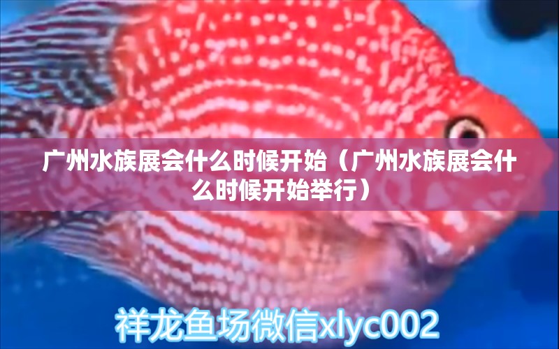 廣州水族展會(huì)什么時(shí)候開始（廣州水族展會(huì)什么時(shí)候開始舉行）