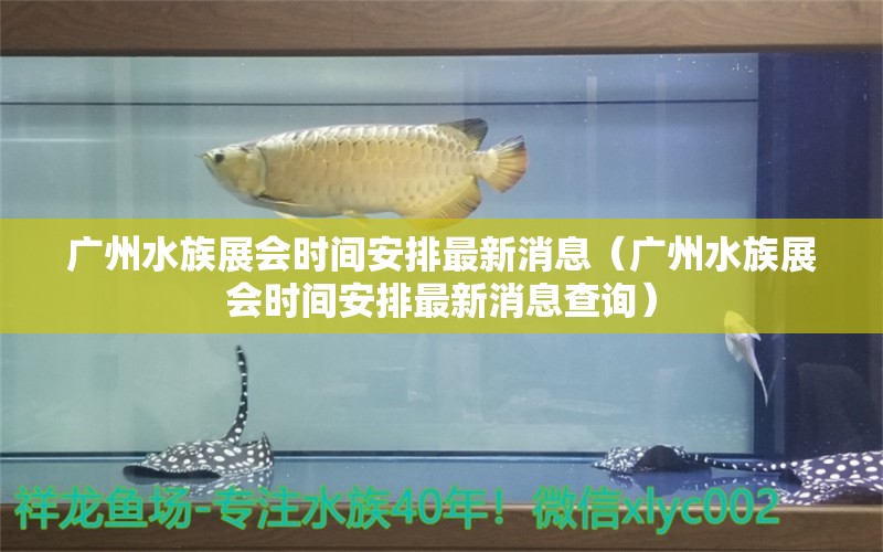 廣州水族展會(huì)時(shí)間安排最新消息（廣州水族展會(huì)時(shí)間安排最新消息查詢）