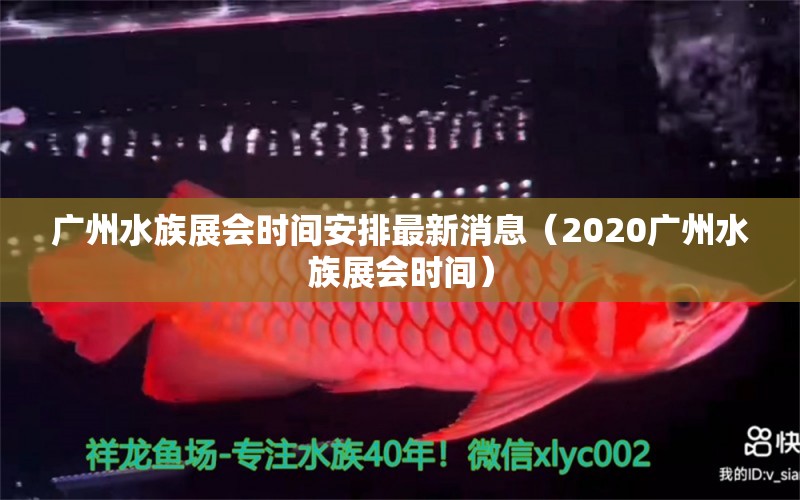 廣州水族展會時間安排最新消息（2020廣州水族展會時間）