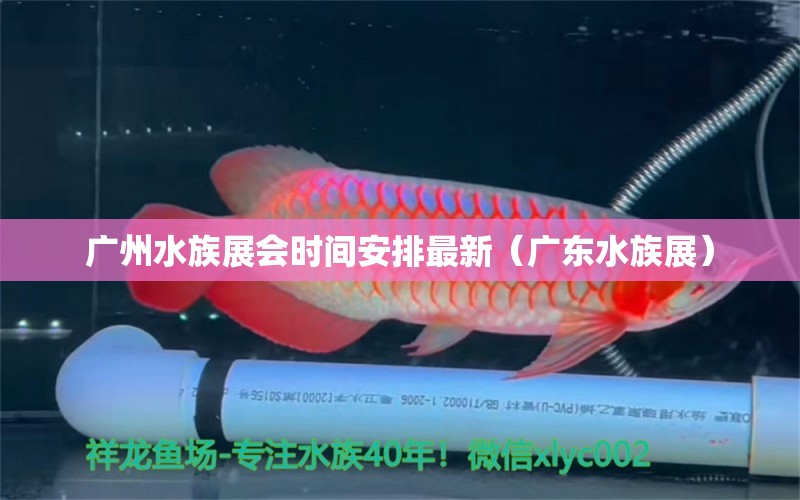 廣州水族展會時間安排最新（廣東水族展）