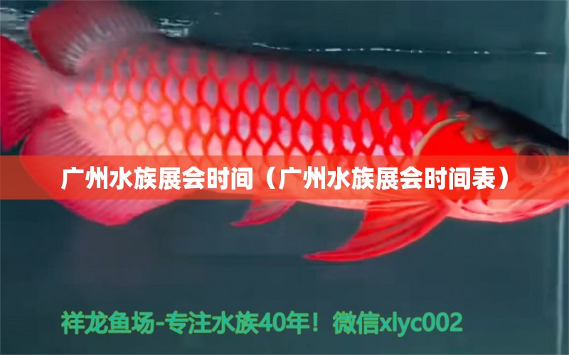 廣州水族展會(huì)時(shí)間（廣州水族展會(huì)時(shí)間表）