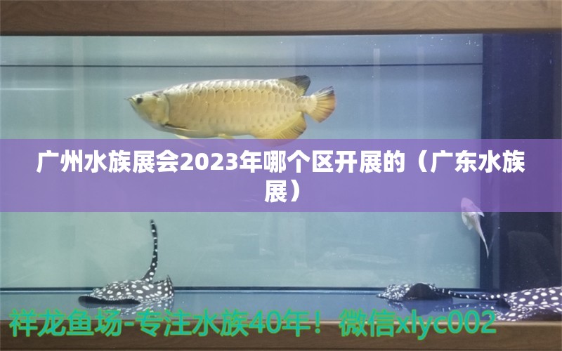 廣州水族展會2023年哪個區(qū)開展的（廣東水族展）