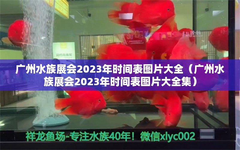 廣州水族展會(huì)2023年時(shí)間表圖片大全（廣州水族展會(huì)2023年時(shí)間表圖片大全集） 水族展會(huì)