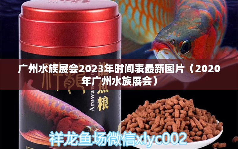 廣州水族展會2023年時間表最新圖片（2020年廣州水族展會）