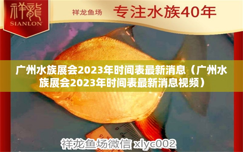 廣州水族展會(huì)2023年時(shí)間表最新消息（廣州水族展會(huì)2023年時(shí)間表最新消息視頻）