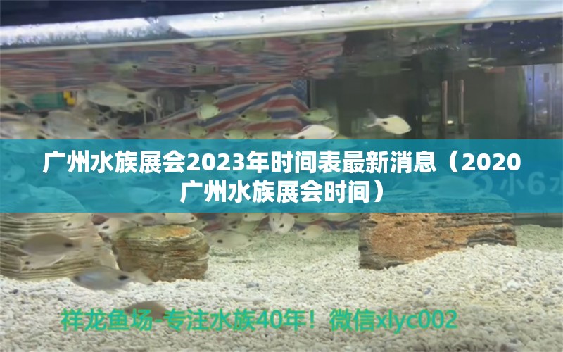 廣州水族展會2023年時(shí)間表最新消息（2020廣州水族展會時(shí)間）