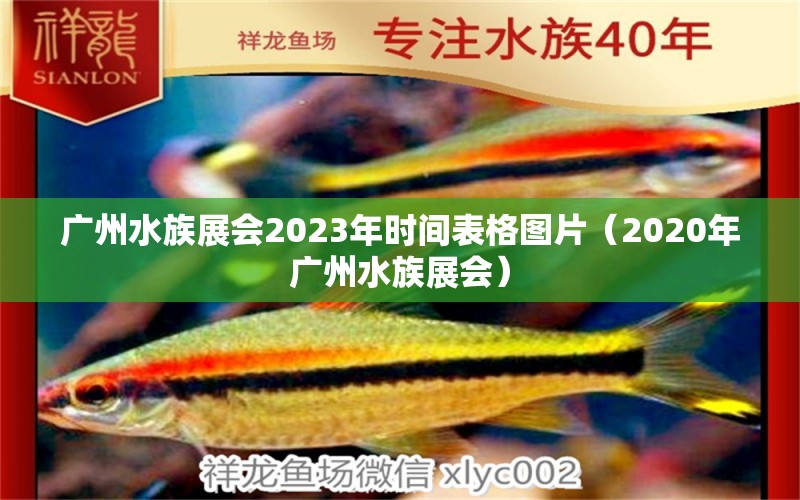 廣州水族展會(huì)2023年時(shí)間表格圖片（2020年廣州水族展會(huì)）