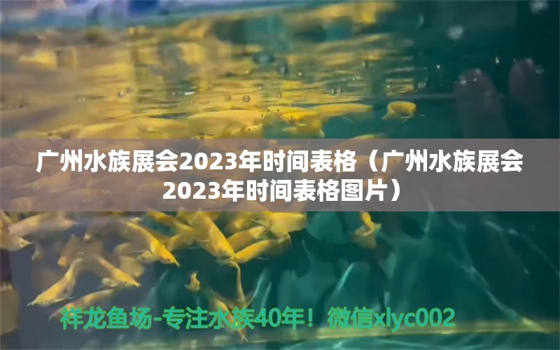 廣州水族展會2023年時間表格（廣州水族展會2023年時間表格圖片）