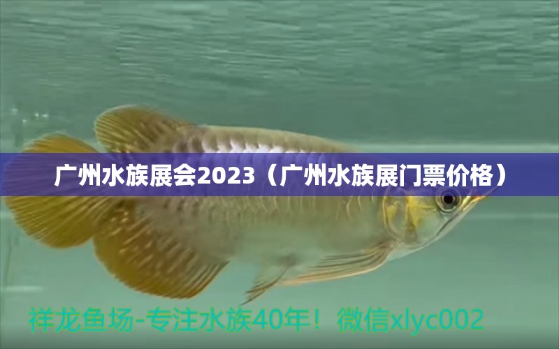 廣州水族展會(huì)2023（廣州水族展門票價(jià)格）