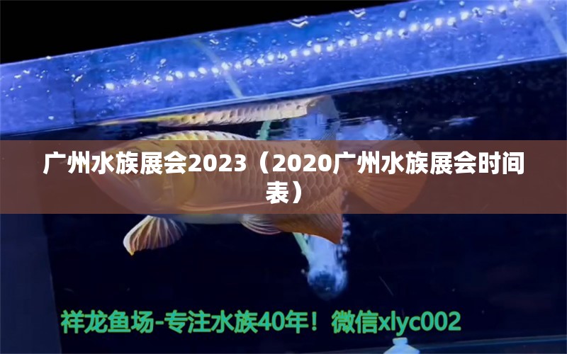 廣州水族展會2023（2020廣州水族展會時間表）