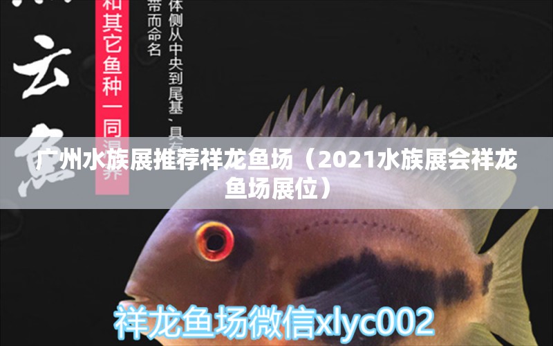 廣州水族展推薦祥龍魚場（2021水族展會祥龍魚場展位）