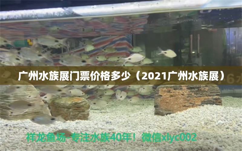 廣州水族展門票價格多少（2021廣州水族展）