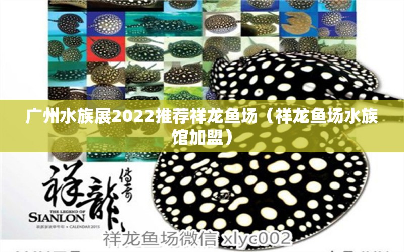 廣州水族展2022推薦祥龍魚場(chǎng)（祥龍魚場(chǎng)水族館加盟） 水族展會(huì)