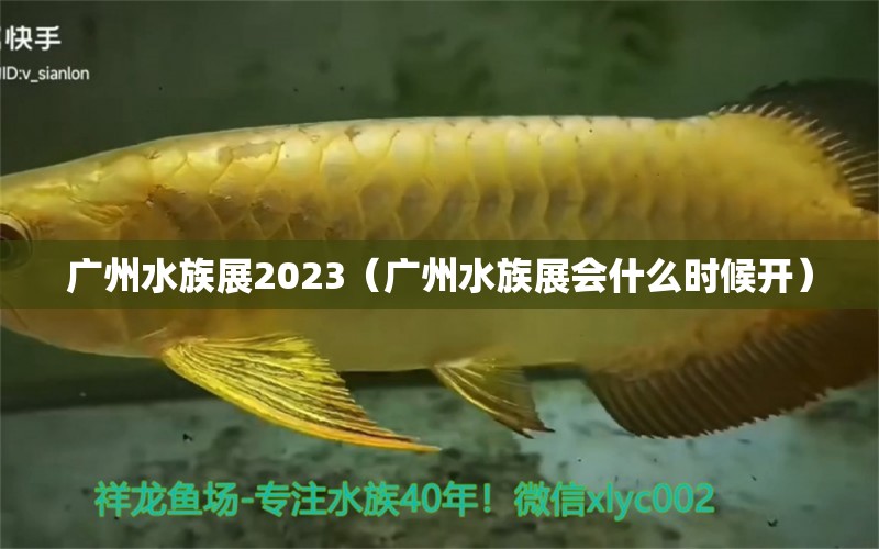 廣州水族展2023（廣州水族展會什么時候開）